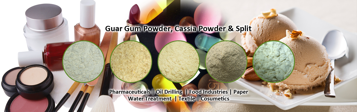 Guar Gum Powder, Cassia Powder & Split Application in Pharmaceuticals, Oil Drilling, Food Industries, Paper, Water Treatment, Textile, Cosmetics