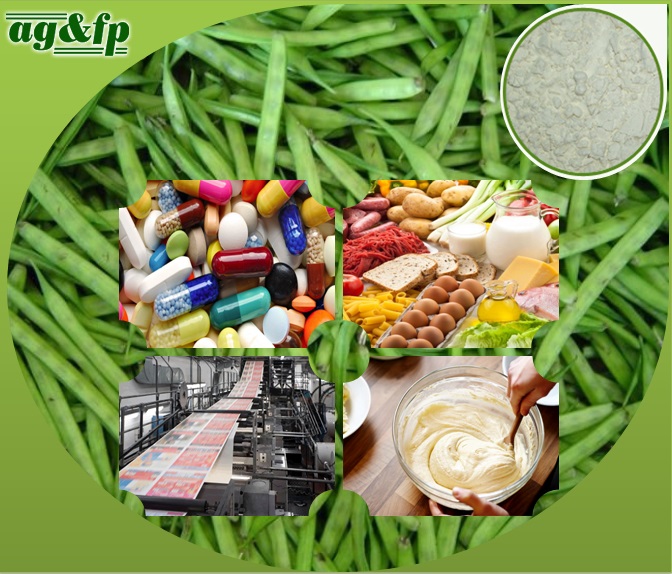 Application of Guar Gum 