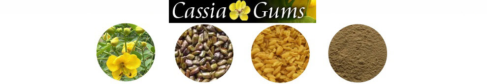 cassia-gum-powder-manufacturer-in-india