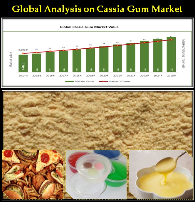 cassia gum powder